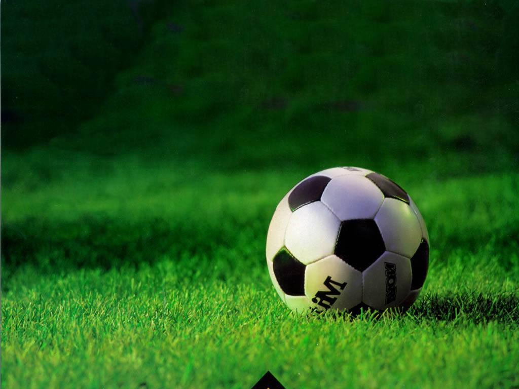 logo de Fútbol Msal