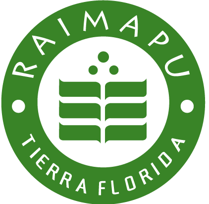 logo de Iii Liga Ex-alumnos Colegio Raimapu