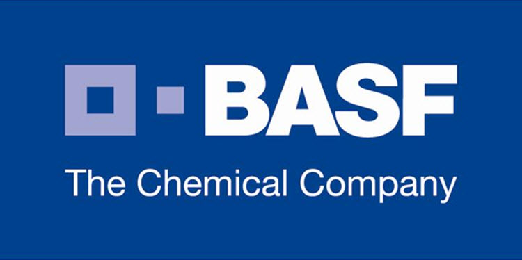 logo de Basf Champions League 2013