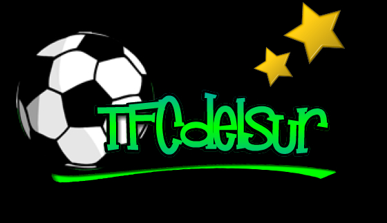 logo de Tfcdelsur