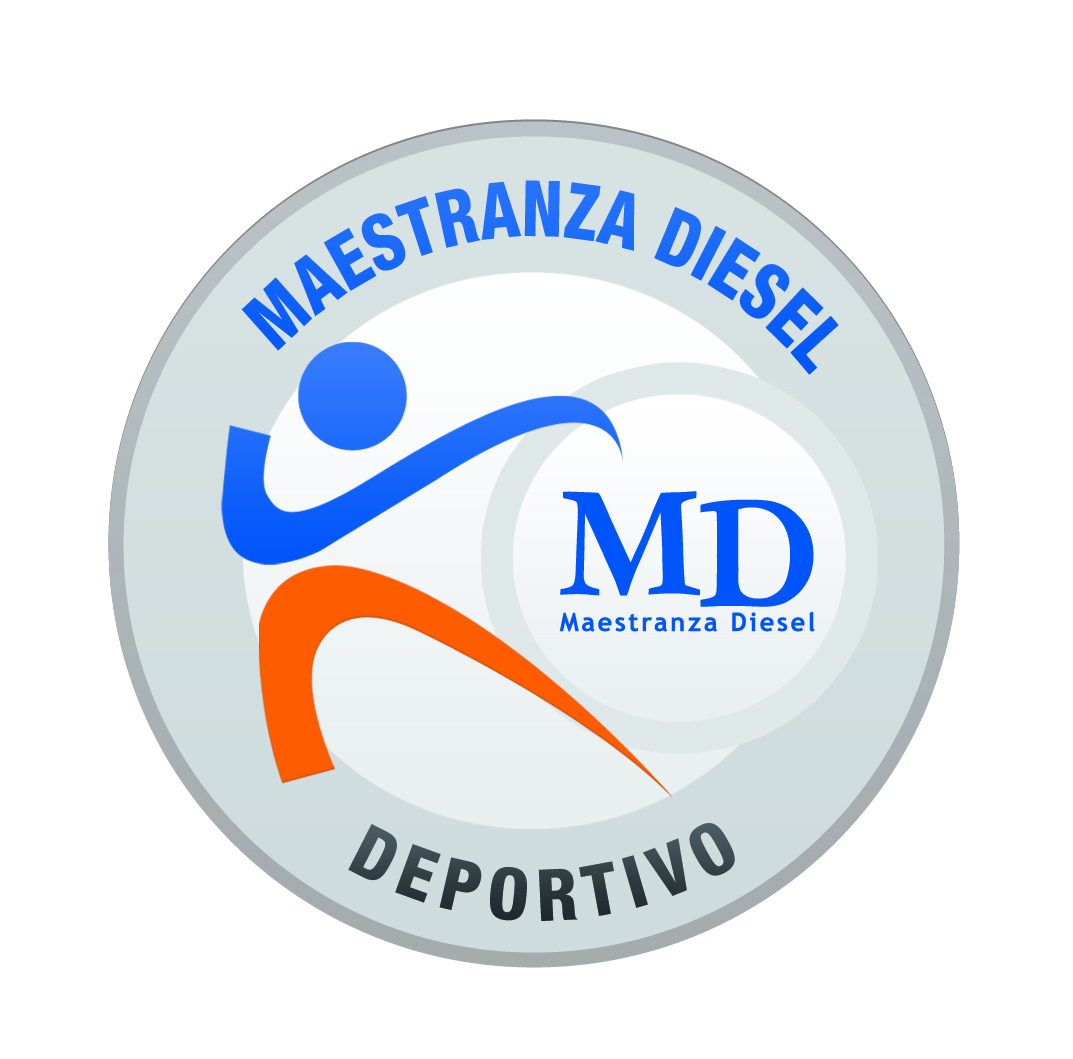 logo de Campeonato Petrobras Md 2013