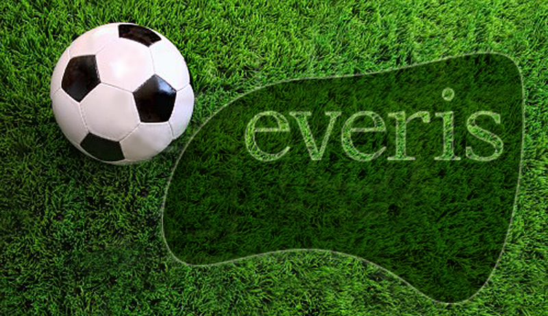 logo de Everis Apertura 2014