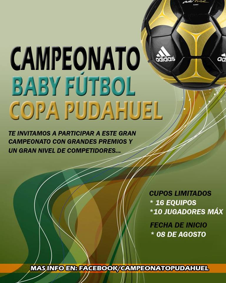 logo de Copa Pudahuel 2014