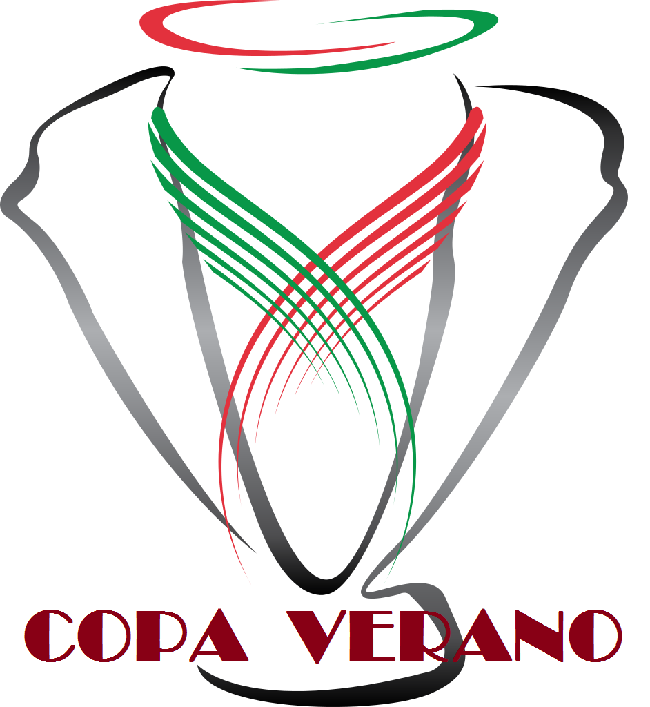 logo de Torneo De Los Picados
