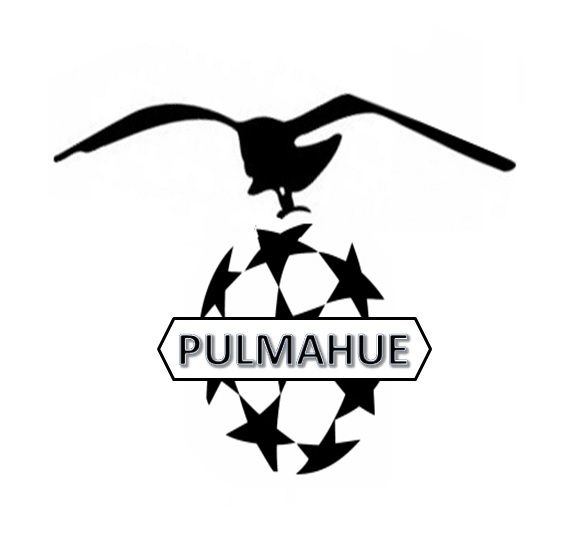 logo de Copa Pulmahue