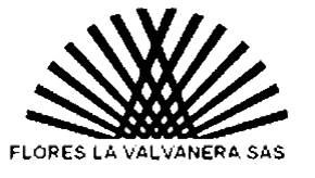 logo de Copa Valvanera 2015