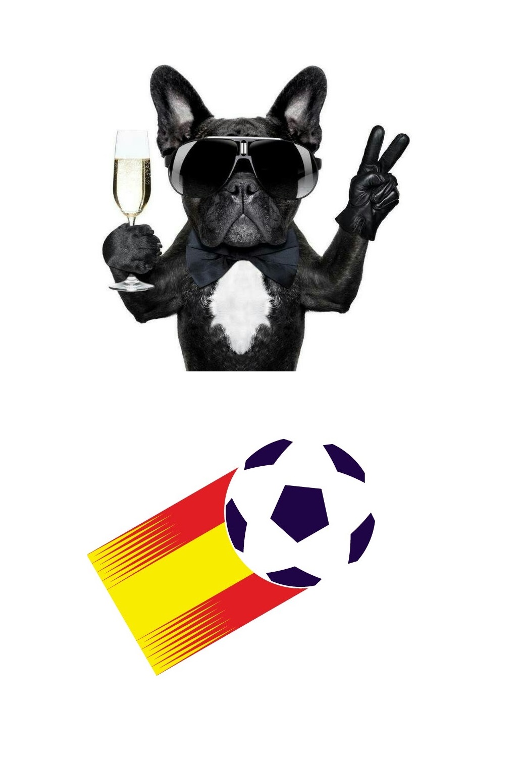 logo de Toro´s Tournament World Cup 2015